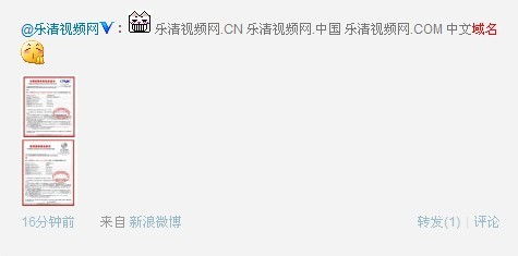 樂清視頻站玩“人性化”搶注4個中文域名